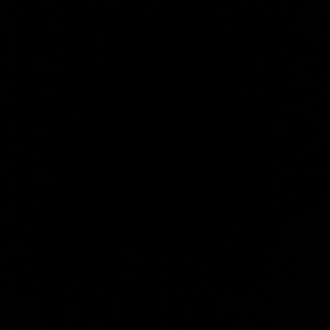 Meet your Posher, Polly